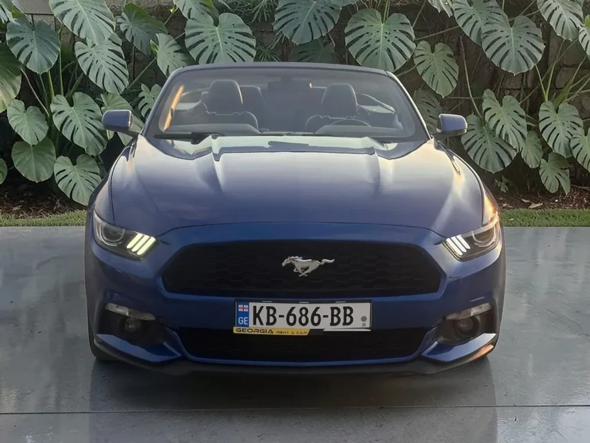 FORD Mustang  4