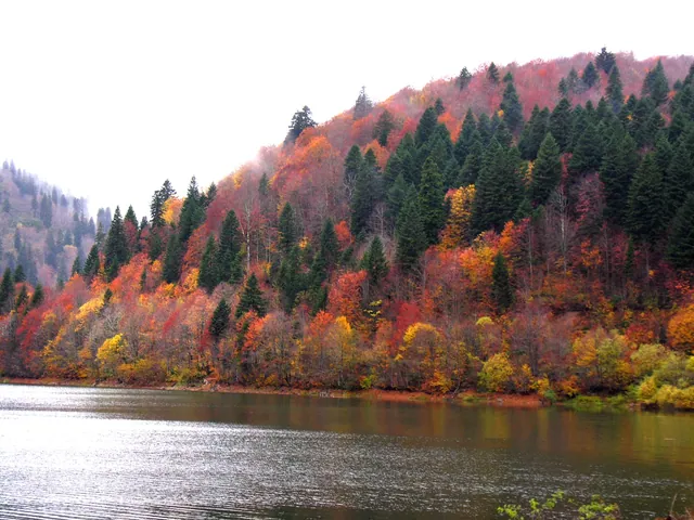 Where to Go in Georgia in Autumn: Routes With and Without a Car