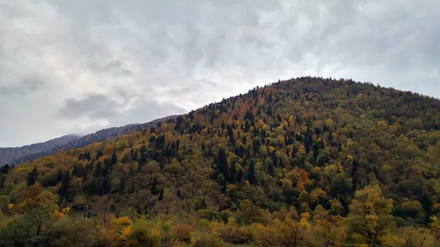 An autumn slope in the Georgian mountains