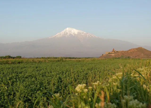 Khor Virap and Ararat from the green fields of the plain