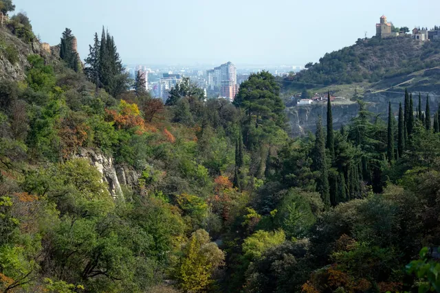 The gorge of the Botanical Garden: cypresses, autumn and the city in the distance